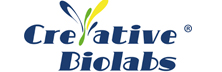 Creative Biolabs - Top Drug Discovery and Development Solutions Companies Creative Biolabs